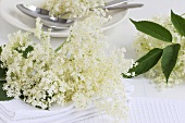 Elderflowers with plate and spoons in background
