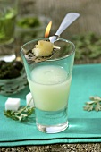 Absinthe with burning sugar cube on a silver spoon