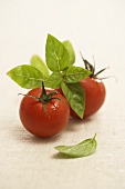 Two tomatoes with basil