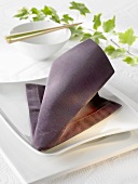 Napkin folding design: 'Neck tie'