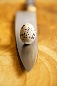 A quail's egg standing on a knife