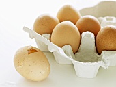 Eggs in egg box, one broken