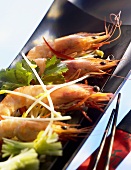 Shrimps-Salat mit Sojakeimlingen