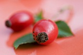 Two rose hips