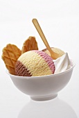 Two scoops of Neapolitan ice cream with cream