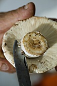 Cleaning a mushroom with a knife
