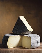 Tomme de Savoie (French cheese)