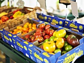 Tomatoes in boxes on a market stall