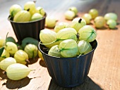 Green gooseberries in and around two containers