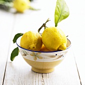Zitronen mit Blättern in einer Schale