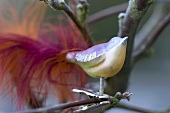 Glass bird on the branch of an ornamental apple tree