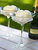 Champagne sorbet in two champagne saucers