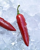 Two red chillies on ice
