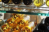Weinflaschen im Weinregal