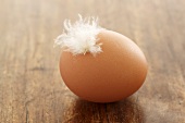 An egg with a feather