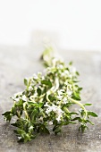 Thyme with flowers on a wooden board