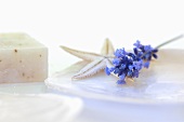 Lavender and a starfish on a shell with soap