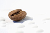 A coffee bean and milk foam (close up)