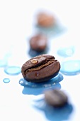 Coffee beans with drops of water