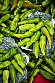 Green chilli peppers at a market