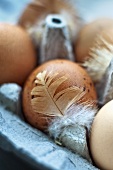 Eggs and feathers in an egg box