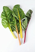 Various different coloured chard leaves