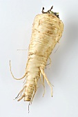 A parsnip