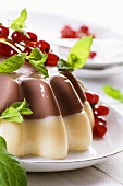 Chocolate and vanilla pudding with redcurrents