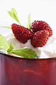 Alpine strawberries with cream