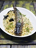 A whole hake on a bed of pasta in a creamy herb and dill sauce