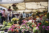 A flower stand at the market