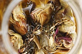 Pickled artichokes in a jar, seen from above