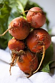 Golden beetroot