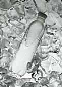 Wasserflasche auf Eis