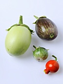 Various aubergines (cultivars: Applegreen and Redona)