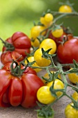 Beafsteak tomatoes, yellow tomatoes and vine tomatoes