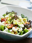 Salad with pomegranate seeds