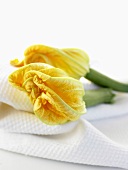 Two courgettes with flowers on white cloth