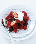 Warm berries with white bread and yoghurt