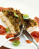 Cod fillet with herb crust and tomato sauce