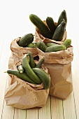Various types of cucumbers in paper bags
