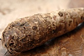 A taro root on a wooden background