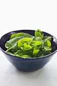 A small bowl of mint leaves
