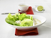 Pointed cabbage with lime and cheese sauce