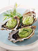 Three oysters with herb butter
