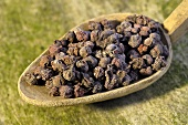 Dried schisandra berries on a wooden spoon