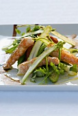 Asparagus and vegetable salad with fried Norway lobster