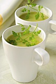 Potato and leek soup in cups with chervil