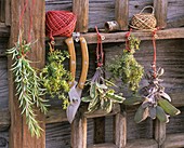 Various herbs hanging up to dry