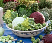 Bowl of various types of brassicas out of doors